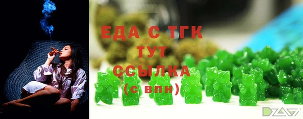 гашик Няндома