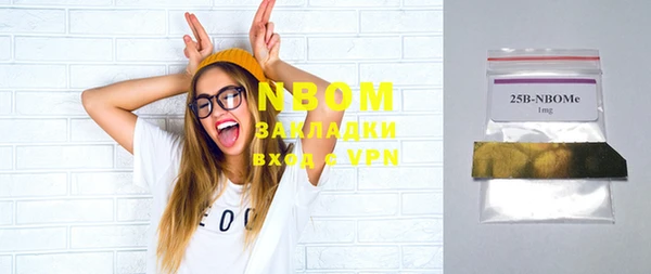 винт Пересвет