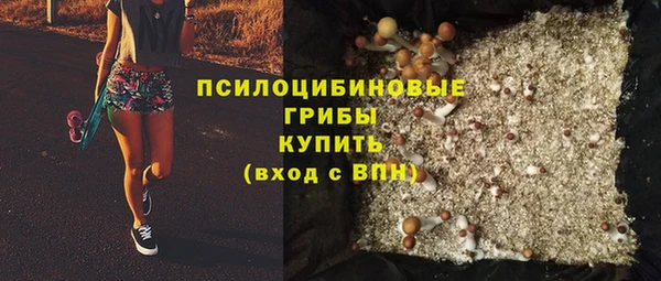 прущая мука Осташков