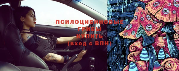 2c-b Осинники