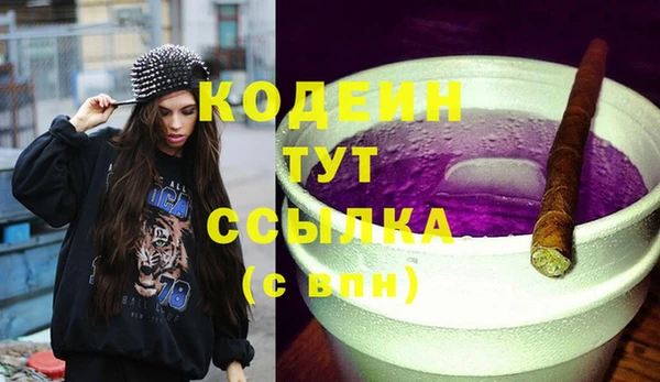 гашик Няндома