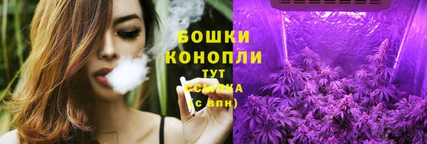 2c-b Осинники