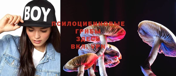 прущая мука Осташков