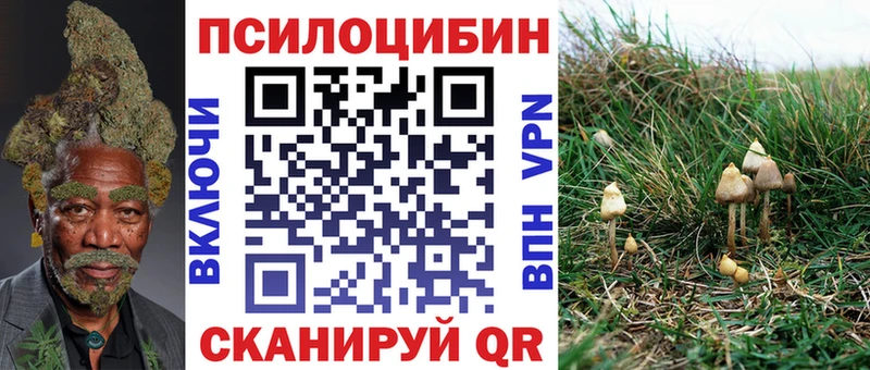 Псилоцибиновые грибы ЛСД Краснообск